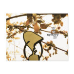 ((((a mystery)))) postcard