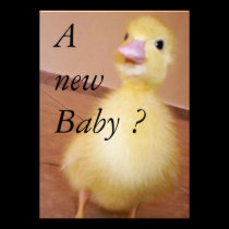 A New Baby invitations