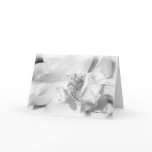 A New Beginning Greeting Card