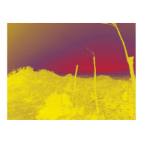 A new dawn posters by Lizeth424 A new dawn posters