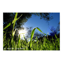 A New Dawn posters