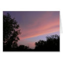 A New Day cards