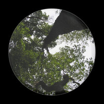 A New Perspective - Trees magnets