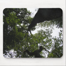 A New Perspective - Trees mousepads