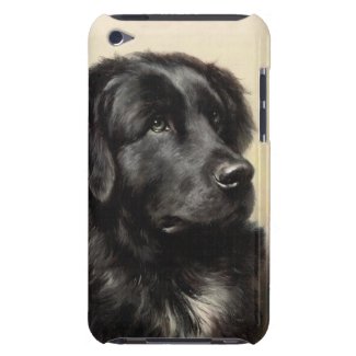 A Newfoundland Barely There iPod Touch Case