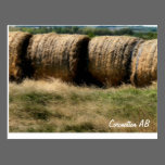 A One Tonne Meal postcards