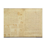 A page from the Codex Leicester, 1508-12 Postcard