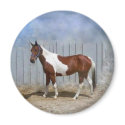 A Paint Horse - Sir Lord James magnets by Animal_Anticipation A Paint Horse - Sir Lord James magnets
