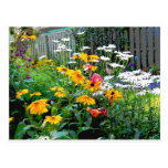 A  Painted Garden Post Cards