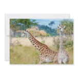 A Pair of Giraffes in the Mikumi National Park Personalized Announcements