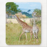 A Pair of Giraffes in the Mikumi National Park Mousepads
