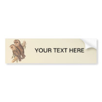 A Pair of Masked Barn Owls on a branch (painting). Bumper Sticker