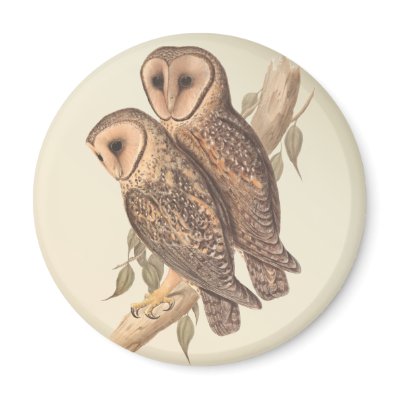 A Pair of Masked Barn Owls on a branch (painting). Fridge Magnets by super_cool