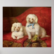 A Pair of Poodles Print