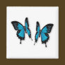 A Pair of Tropical Blue Butterflies