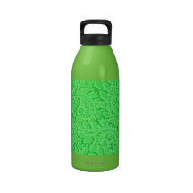 A Paisley Swirl 2 Reusable Water Bottle