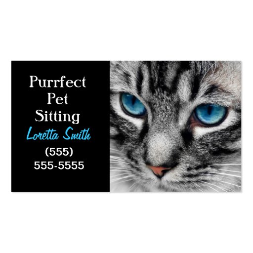 A-PAL - Silver Tabby Cat with Blue Eyes Close Up Business Card Template (front side)