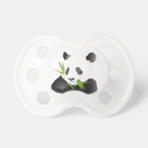 A Panda Bear Baby Pacifier