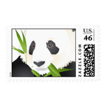 A Panda Bear