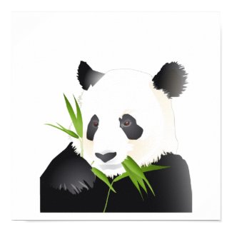 A Panda Bear prints, posters and art starting under $20