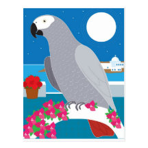 A Parrot in Paradise Post Card