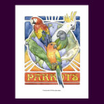 A Parrot's World
