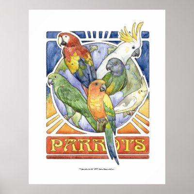 A Parrot's World Poster by itsupintheairart