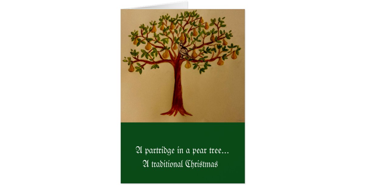 a partridge in a pear tree christmas card zazzle a partridge in a pear tree christmas card zazzle