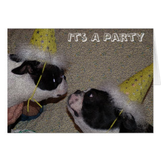 Boston Terrier Birthday Cards | Zazzle