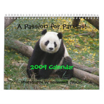 A Passion for Pandas!, 2009 Calendar, Pho...