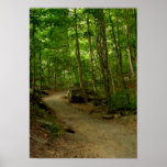 A Path in the Woods Print