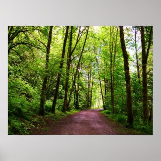 A Path Through the Forest print