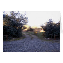 A Path to.... cards by midnighteskye A Path to.... cards