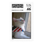 A Patriotic Kitten on July 4 Postage Stamps