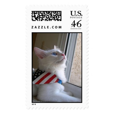 A Patriotic Kitten on July 4 postage stamps