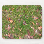 A Pattern Of Dried Fallen Leaves Mouse Pad