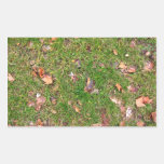 A Pattern Of Dried Fallen Leaves Rectangle Sticker
