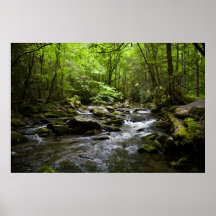 A Peaceful Smoky Mountain Stream Poster