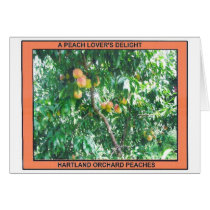 A PEACH LOVER'S DELIGHT cards by mrsheldo A PEACH LOVER'S DELIGHT cards