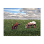 A Perfect Day Post Cards