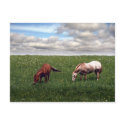 A Perfect Day postcards