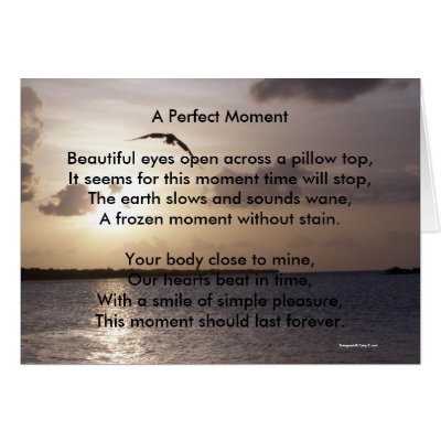 A Perfect Moment Greeting Cards by cattilovebugg