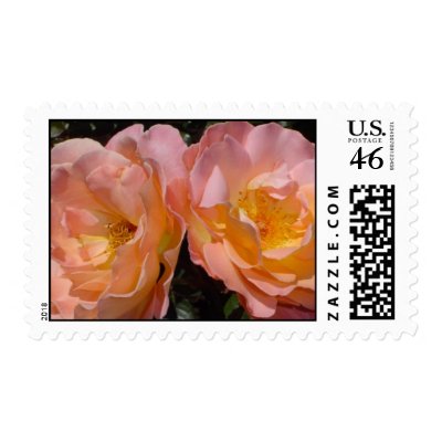 'A Perfect Pair' Soft Orange Roses by seashell2