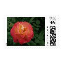 A Perfect Rose from Above - Stamp