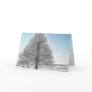 A Perfect Winter Tree Enh...