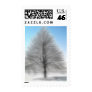 A Perfect Winter Tree Intense