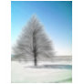 A Perfect Winter Tree Intense
