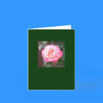 A Personal Rose cards