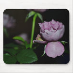A Petal of a Rose Mouse Pads