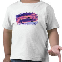 A photo composite of Sandhill cranes in flight T-shirt